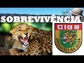 Manual de sobrevivência na selva para download