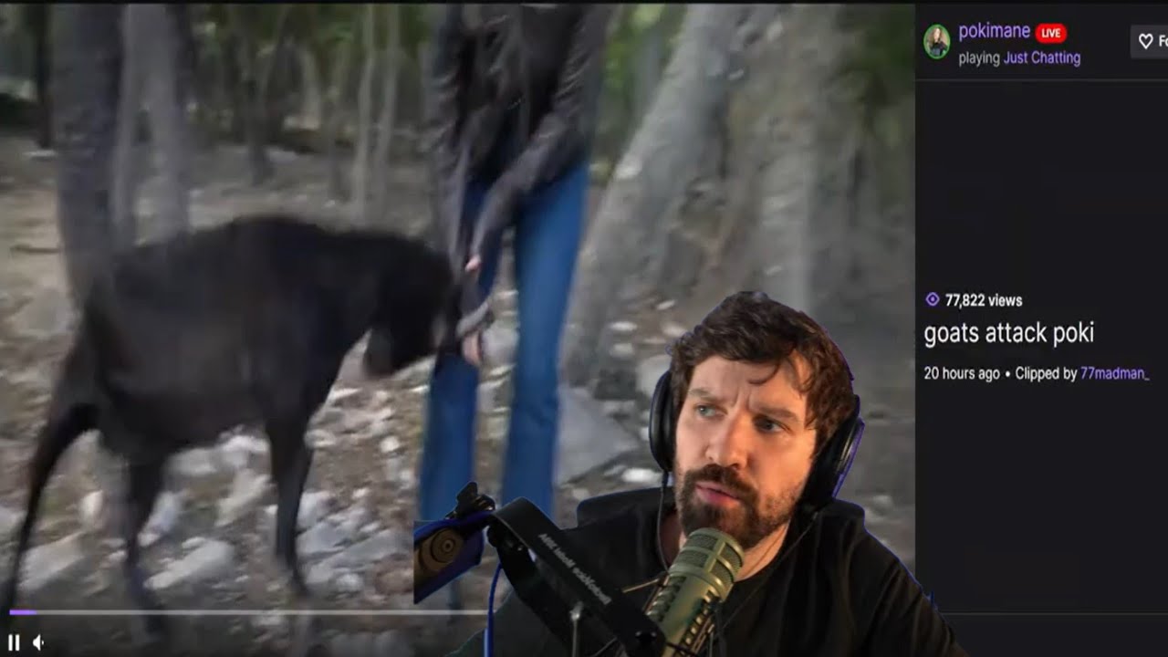 Destiny Reacts To Clips - YouTube