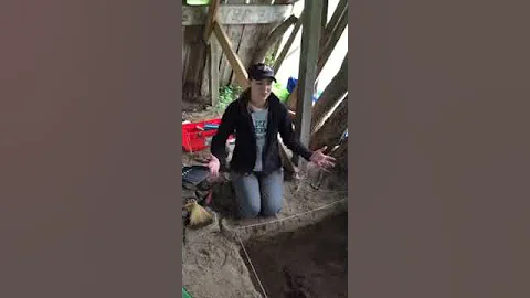 Perez Rancho Excavations-Rebe...  Schultz Interview