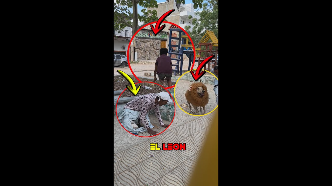 se escapo un l30n #2  😱🦁🐕🤣