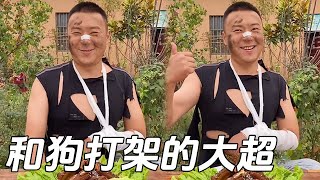 大超和狗打了壹架，誰打輸了顯而易見#搞笑 #funny #兄弟日常