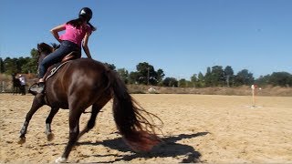 Pmg Dd - Training 150918 - Pony Games
