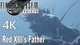 Red XIII's Father Seto Scene Final Fantasy 7 Rebirth 4K