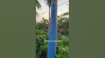 Fogger system for Restaurants. #foggingmachine #foggerkit