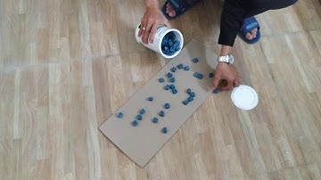 Bả Chuột Sinh Học Klerar Hộp 1kg của Syngenta Bỉ #Syngenta #BảChuột #BảChuộtSinhHọc #Klerat