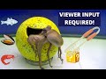 Fussy Octopus Won&#39;t Eat Just Anything - Viewer Input Required