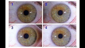 IrisExplorer v5.1 Intro - EN - 30Sec
