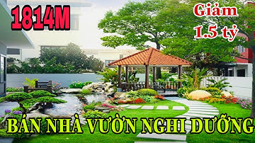 Bán khu nghi dưỡng Binh mỹ củ chi, nhà vườn ao cá cây ăn trái. Mai vàng đẹp. chủ hạ cò11tỷ