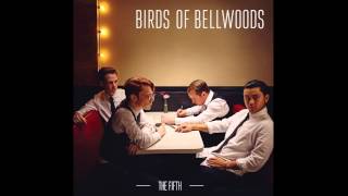 Birds of Bellwoods - Sky (Audio) chords