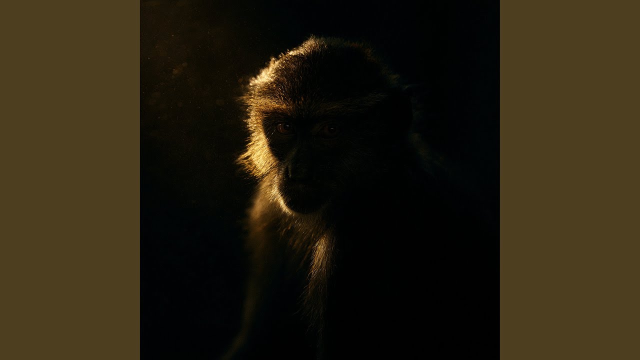 Watch Dance Monkey on YouTube Watch Dance Monkey on YouTube