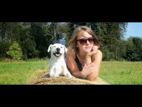 Video: Prečo Je Pes Priateľom človeka