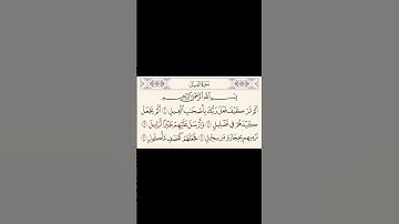 تلاوه سوره الفيل مع الشيخ ماهر المعيقلي جميل جدا