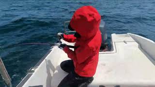 明石海峡　タコ釣り　ジギング！