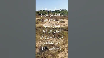 باذر قبل أن تغادر و قبل فوات الاوان الدكتور فريد الانصاري المصحف اكسبلور الشيخ 