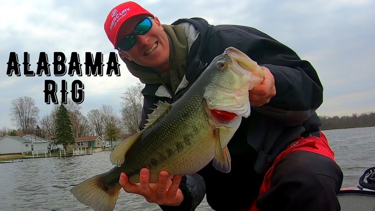 Catch Prespawn Largemouth Bass with the Alabama Rig