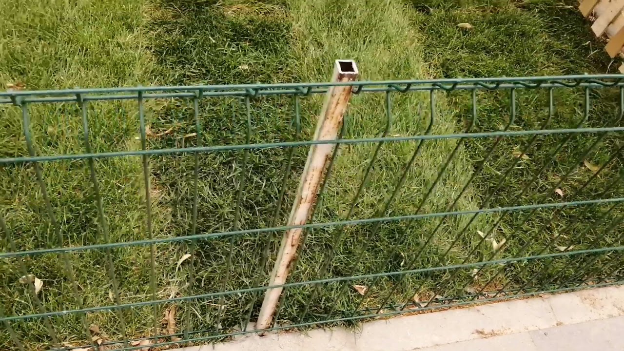 ЗD-забор для газона