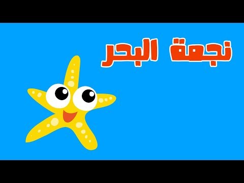 نجمة البحر مع سوبر جميل | الكائنات البحرية