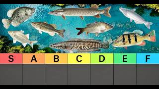 Fish Tier List