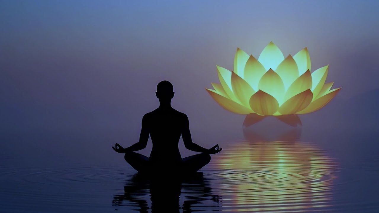 Transform Your Mind: 1 Hour Deep Zen Meditation Music | 528Hz Buddhist Healing Tones