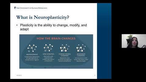Neuroplasticity - Can Your Brain Change?  (Stroke Education Webinar)