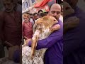 बकर म ड म 1आदम न द स ल स प ल ह ए बकर क ब च त ज द ई क वक त म ल क और बकर गल लगकर र पड बकर म ड म 1आदम न द स ल स प ल ह ए बकर क ब च त ज द ई क वक त म ल क और बकर गल लगकर र पड