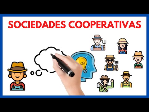 Vídeo: Com es constitueix una cooperativa?