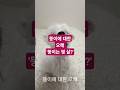 #뚱이는몇살?