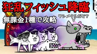にゃんこ大戦争狂乱フィッシュ降臨無課金一種で攻略的youtube視頻效果分析報告 Noxinfluencer