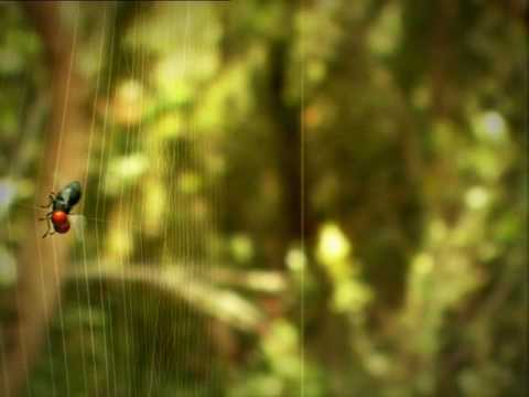 Mucha gente ayer se enfadaba porque llova. La lluvia es necesaria y maravillosa para nuestra querida Naturaleza, de ah biene la expresin que hoy adopto como nuestro consejillo y que sirve para muchas situaciones de dificultad: "Al mal tiempo, buena cara". Dedicado a Ramn y Fina para que se les pase pronto el resfriado...