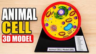 animal cell 3d model making for science exhibition - diy - howtofunda