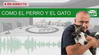 EN DIRECTO: Como el perro y el gato con Carlos Rodríguez