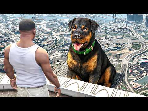 Chop Became GIANT CHOP Because of Franklin! (GTA 5)
