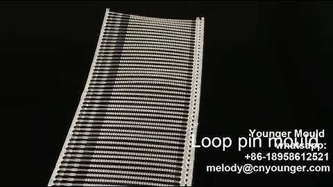 loop pin injection molding machine