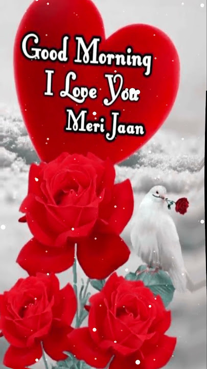 Good Morning Meri Jaan I Love You || good morning whatsapp status video #viral #shorts #ytshorts