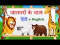 जानवरो के नाम - Animal name | Animal name in Hindi and English | Learn Animals Names For Children