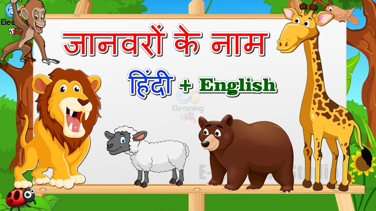 जानवरो के नाम - Animal name | Animal name in Hindi and English | Learn  Animals Names For Children - YouTube