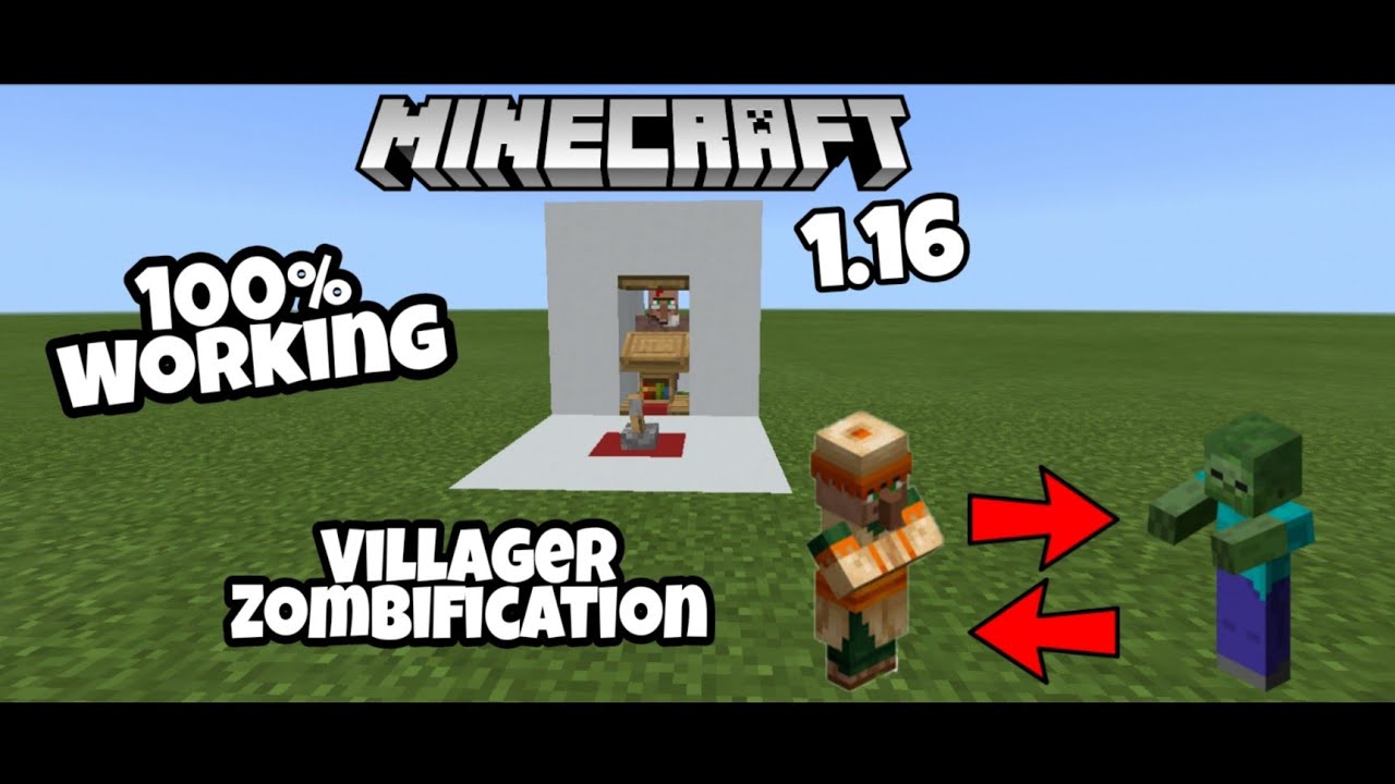 1.16 Easy And Small Villager Zombification Chamber for Minecraft