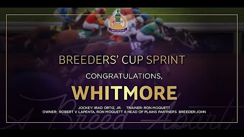 $2M Breeders' Cup Sprint: Whitmore