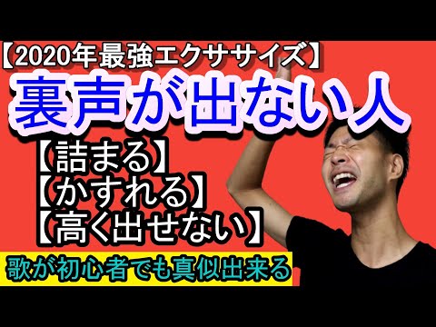 【裏声が出ない方へ】裏声を出すよりも〇〇が出来るか疑え!!!【エクササイズとボイトレ】
