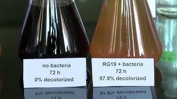 NIO Marine Biotechnology