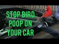 Stop bird poop on your car