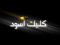 كلبك اسودسيف نبيل  ولا حبني تصميم شاشة سودا اغاني سيف نبيل اغاني ٢٠٢١ اغاني حب اغاني حزينه