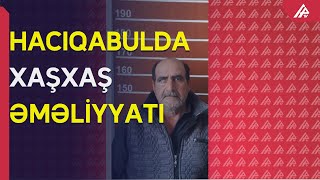 Hacıqabullu həyətini xaşxaş bağına çevribmiş – APA TV Resimi