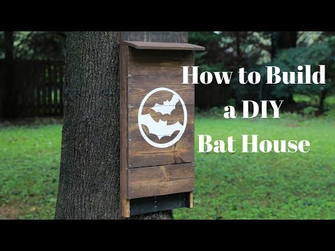 How to Build a DIY Bat House - DIY Crafts - Thrift Diving