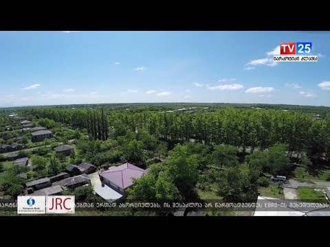 როგორ ებრძვიან აზიურ ფაროსანას ხობის მუნიციპალიტეტში