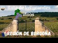 Ruta de los Grandes vinos de BORGOÑA. Guía de Francia #11