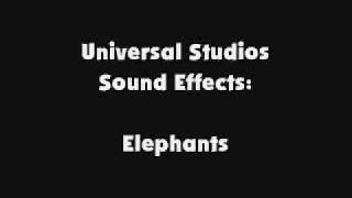 Universal Studios Sfx Elephants