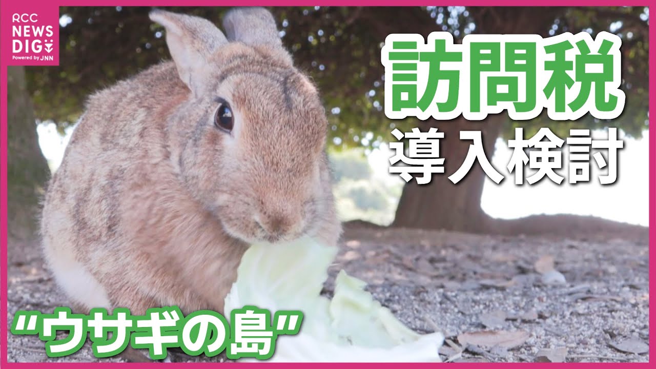 If it's used for the rabbits