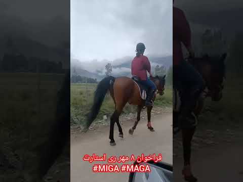 فراخوان ۸ مهر از سراسر شهر های ایران و جهان        