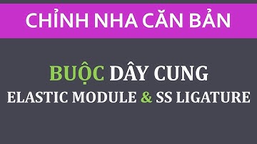 Buộc dây cung với thun đơn hoặc chỉ thép - Elastic module and SS ligature